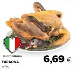 Oasi Faraona offerta