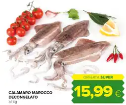 Oasi Calamaro marocco decongelato offerta