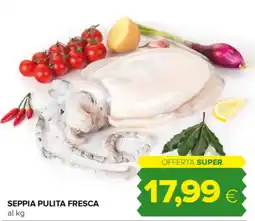 Oasi Seppia pulita fresca offerta