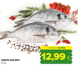 Oasi Orata 600/800 offerta