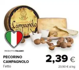 Oasi Pecorino campagnolo offerta