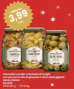 Eurospar Carciofini conditi o Fantasia di funghi Novella offerta