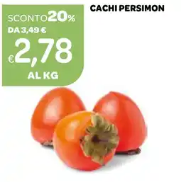 Ekom Cachi persimon offerta
