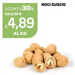 Ekom Noci guscio offerta