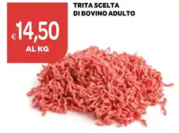 Ekom Trita scelta di bovino adulto offerta