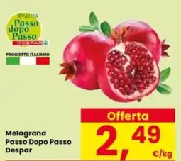 Interspar Melagrana Passo Dopo Passo Despar offerta