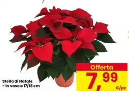 Interspar Stella di Natale offerta