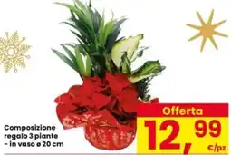 Interspar Composizione regalo 3 piante offerta