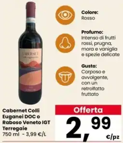 Interspar Cabernet Colli Euganei DOC o Raboso Veneto IGT Terregaie offerta