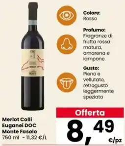 Interspar Merlot Colli Euganei DOC Monte Fasolo offerta