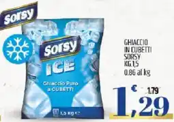 Ard Discount Ghiaccio in cubetti SORSY offerta