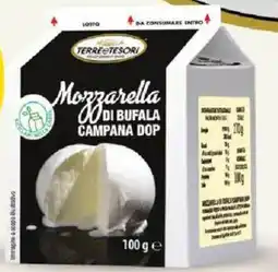 Ard Discount Mozzarella di bufala TERRE & TESORI BRICK offerta