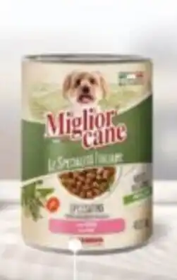Oasi Miglior cane spezzatino cane mini offerta