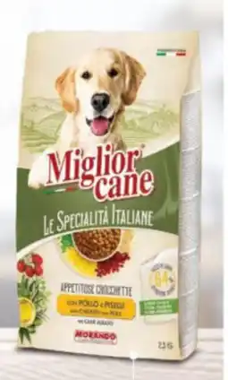 Oasi Miglior cane crocchette appetitose offerta