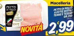 Ard Discount Petto di pollo a fette sottili TERRE E TESORI offerta