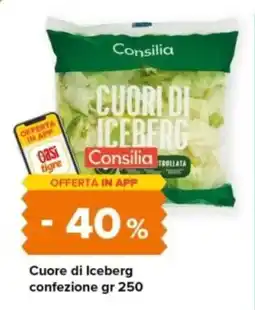 Oasi Consilia Cuore di Iceberg offerta
