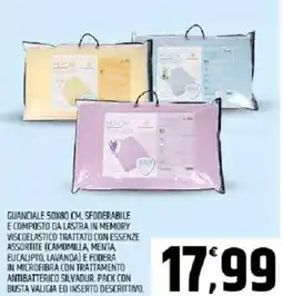 Ard Discount Guanciale 50x80 cm, sfoderabile e composto da lastra in memory offerta
