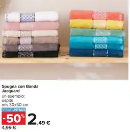 Carrefour Spugna con Banda Jacquard offerta