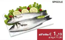 Coop Spigole offerta