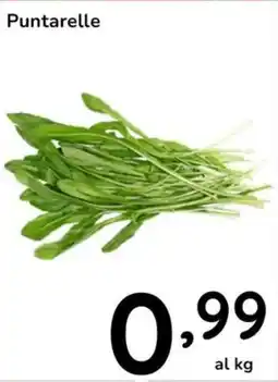 Famila Puntarelle offerta