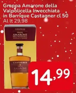 Famila Grappa Amarone della Valpolicella Invecchiata in Barrique Castagner offerta