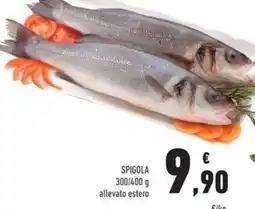 Conad Superstore Spigola offerta