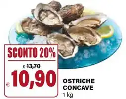 Il Gigante Ostriche concave offerta