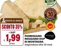 Il Gigante Parmigiano reggiano dop di montagna offerta
