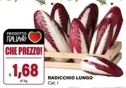 Il Gigante Radicchio lungo offerta
