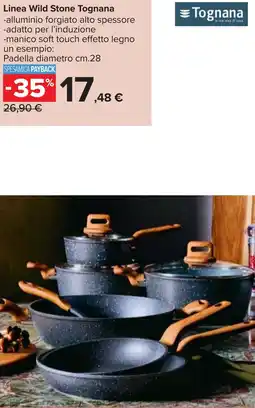 Carrefour Linea Wild Stone Tognana offerta