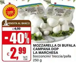 Il Gigante Mozzarella di bufala campana dop la marchesa bocconcini/treccia/palla offerta