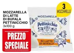 Il Gigante Mozzarella di latte di bufala PETTINICCHIO offerta