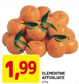 DPiù Clementine affogliate offerta