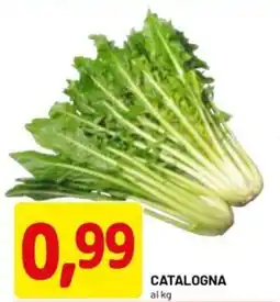 DPiù Catalogna offerta