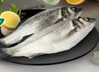 Branzino italia fresco conad percorso qualità