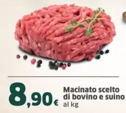 Sigma Macinato scelto di bovino e suino offerta