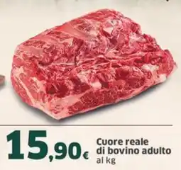 Sigma Cuore reale di bovino adulto offerta