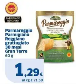 Sigma Parmareggio Parmigiano Reggiano grattugiato 30 mesi Gran Terre offerta
