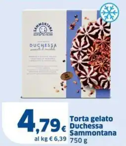 Sigma Torta gelato Duchessa Sammontana offerta