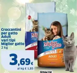 Sigma Croccantini per gatto Adult Miglior gatto offerta