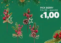 Famila Pick berry cm 22 offerta
