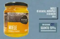 Il Gigante MIELE di acacia, millefiori o arancio offerta
