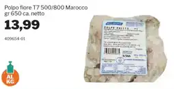 GrosMarket Polpo fiore T7 500/800 Marocco offerta