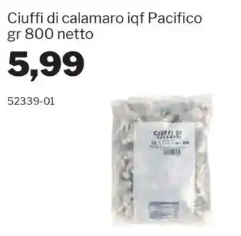 Ciuffi di calamaro iqf Pacifico