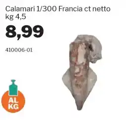 GrosMarket Calamari 1/300 Francia ct netto offerta