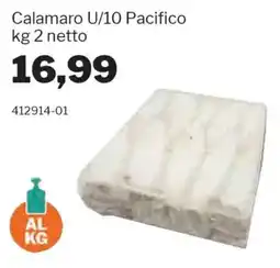 GrosMarket Calamaro U/10 Pacifico offerta