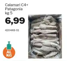 GrosMarket Calamari C4+ Patagonia offerta