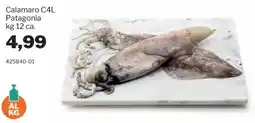 GrosMarket Calamaro C4L Patagonia offerta