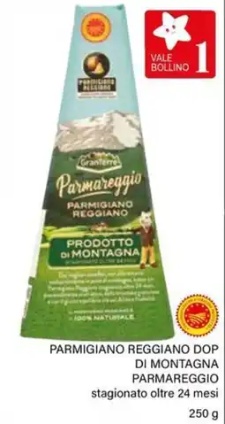 Il Gigante Parmigiano reggiano dop di montagna PARMAREGGIO offerta
