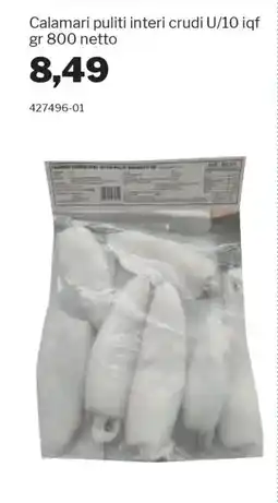 GrosMarket Calamari puliti interi crudi U/10 iqf offerta